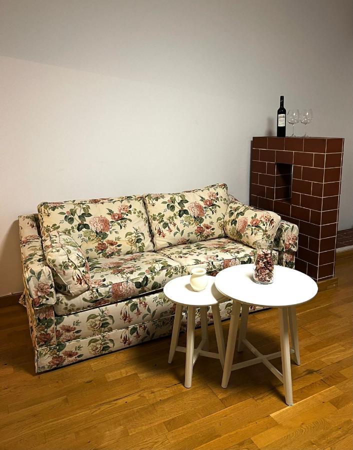 Spacious Apartment With Terrace فيينا المظهر الخارجي الصورة